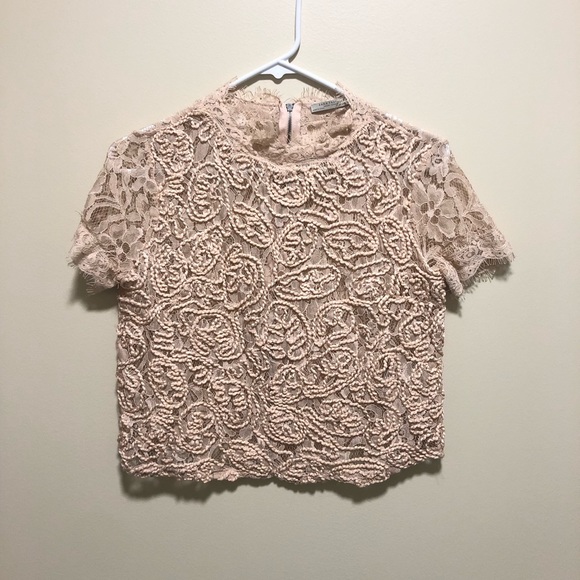 Zara Tops - ZARA | size small lace top, light pink